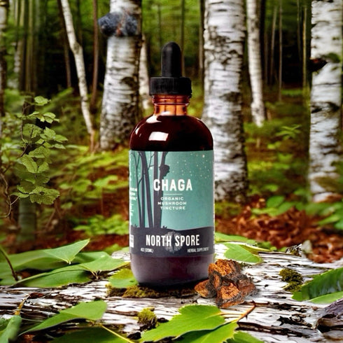 Organic Chaga Mushroom Tincture